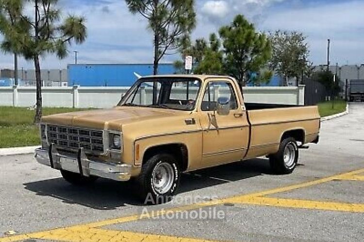 Chevrolet C10 C-10  - <small></small> 18.000 € <small>TTC</small> - #11