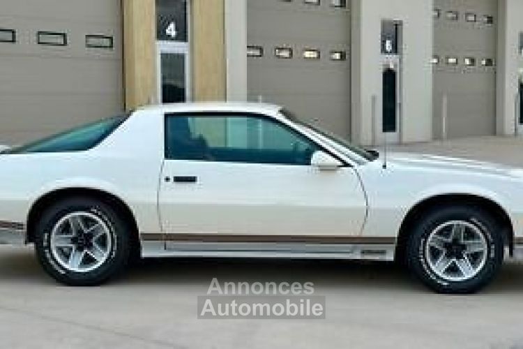 Chevrolet Camaro - <small></small> 36.000 € <small>TTC</small> - #6