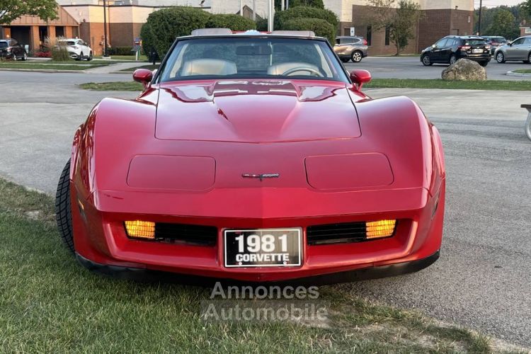 Chevrolet Corvette C3 - <small></small> 28.000 € <small>TTC</small> - #8