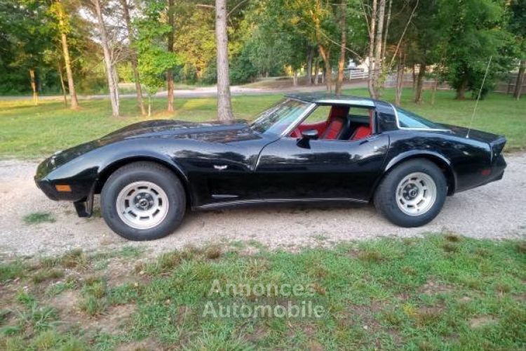 Chevrolet Corvette C3 - <small></small> 19.000 € <small>TTC</small> - #15