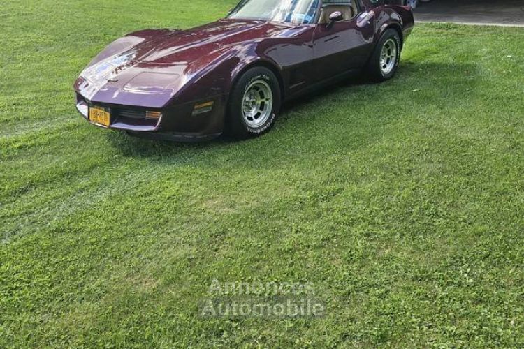 Chevrolet Corvette C3 - <small></small> 19.000 € <small>TTC</small> - #5