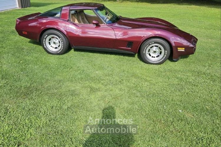 Chevrolet Corvette C3 - <small></small> 19.000 € <small>TTC</small> - #10