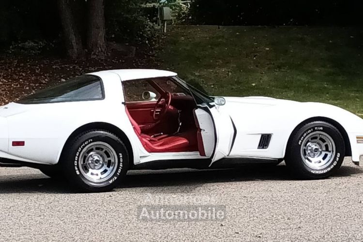 Chevrolet Corvette C3 - <small></small> 20.000 € <small>TTC</small> - #10