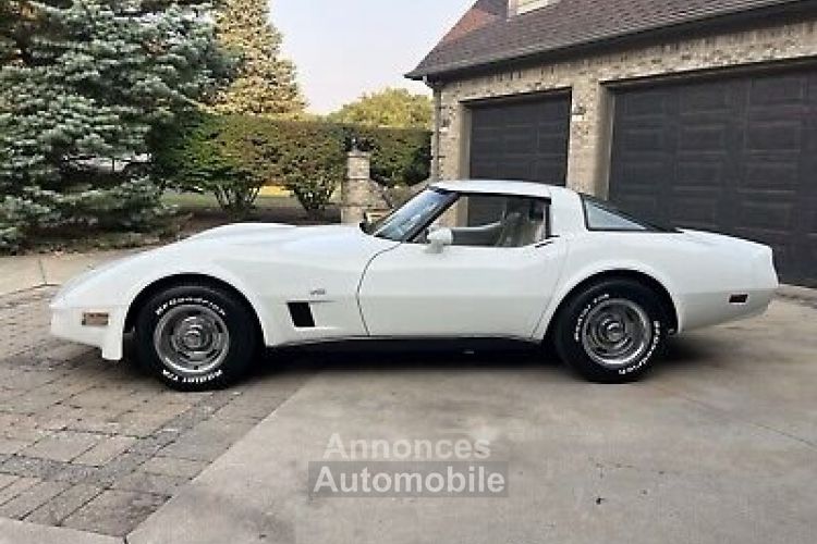 Chevrolet Corvette C3 - <small></small> 27.000 € <small>TTC</small> - #8