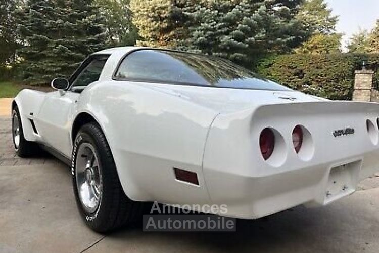 Chevrolet Corvette C3 - <small></small> 27.000 € <small>TTC</small> - #11