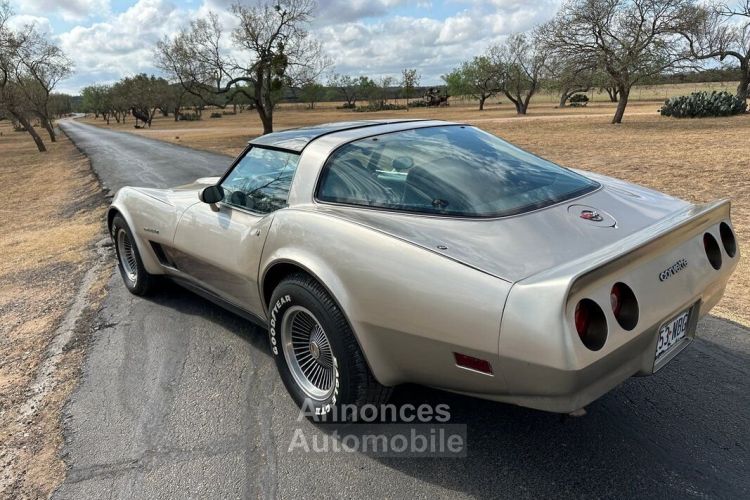 Chevrolet Corvette C3 - <small></small> 30.000 € <small>TTC</small> - #7