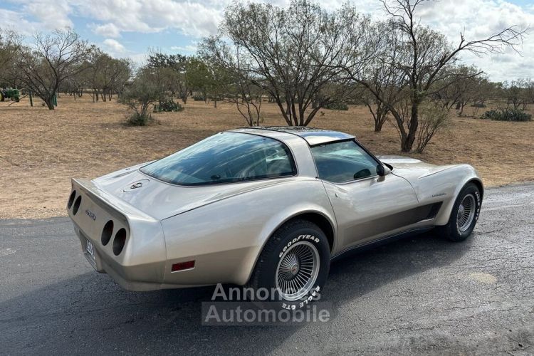 Chevrolet Corvette C3 - <small></small> 30.000 € <small>TTC</small> - #9