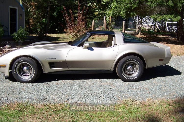 Chevrolet Corvette C3 - <small></small> 26.000 € <small>TTC</small> - #6