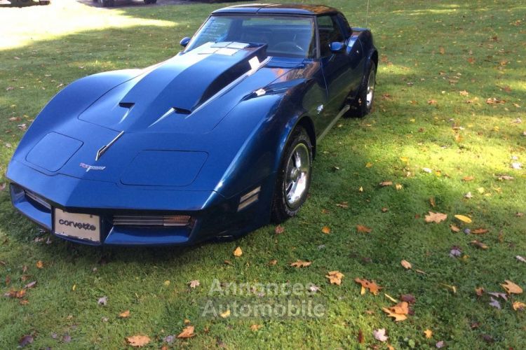 Chevrolet Corvette C3 - <small></small> 21.500 € <small>TTC</small> - #8