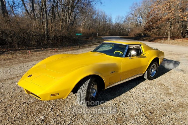 Chevrolet Corvette C3 - <small></small> 24.600 € <small>TTC</small> - #17