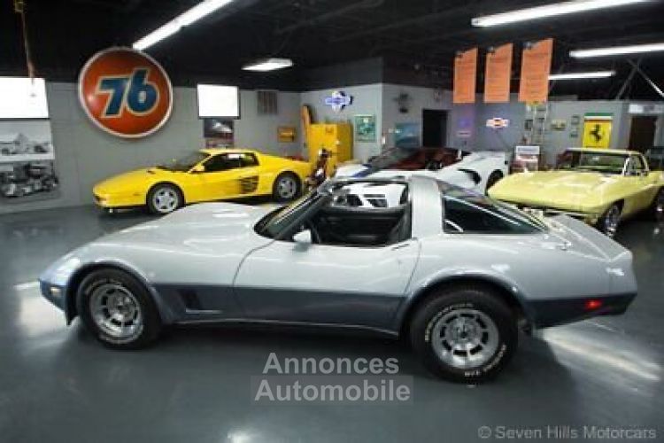 Chevrolet Corvette C3 - <small></small> 23.400 € <small>TTC</small> - #10