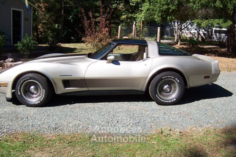 Chevrolet Corvette C3  - <small></small> 24.300 € <small>TTC</small> - #1