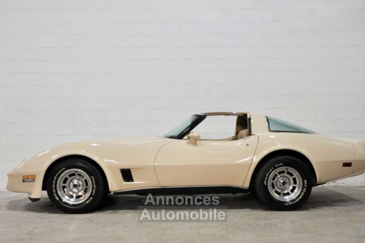 Chevrolet Corvette C3 Stingray 5.7L 350ci - <small></small> 27.500 € <small>TTC</small> - #3