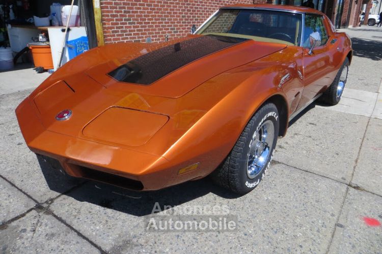 Chevrolet Corvette C3 stingray l48 1974 tout compris - <small></small> 18.396 € <small>TTC</small> - #1