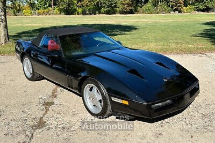 Chevrolet Corvette C4 - <small></small> 44.400 € <small>TTC</small> - #14