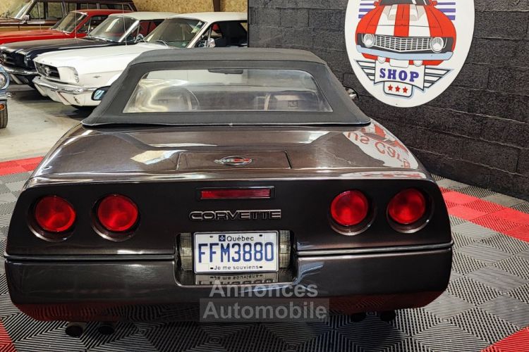 Chevrolet Corvette C4 Cabriolet - <small></small> 20.000 € <small>TTC</small> - #8