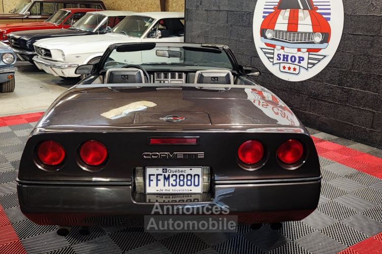 Chevrolet Corvette C4 Cabriolet - <small></small> 20.000 € <small>TTC</small> - #19