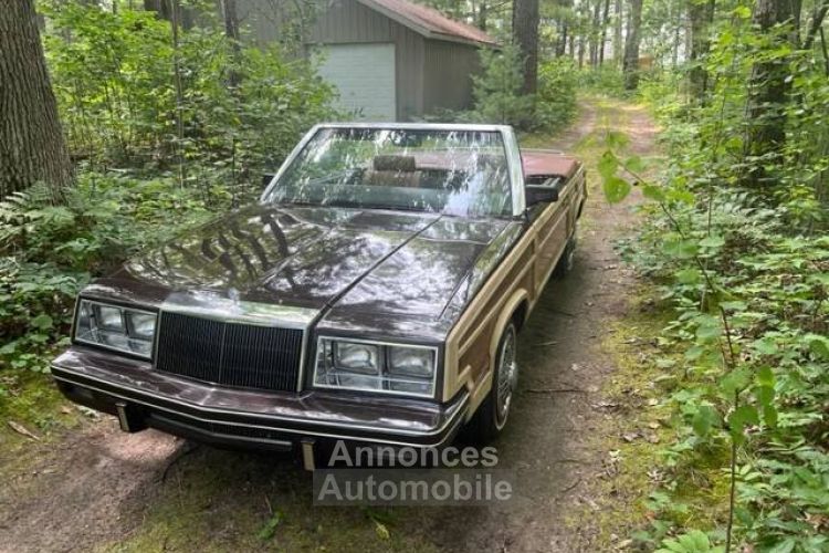 Chrysler Le Baron Lebaron convertible  - <small></small> 22.700 € <small>TTC</small> - #6