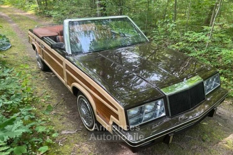 Chrysler Le Baron Lebaron convertible  - <small></small> 22.700 € <small>TTC</small> - #7