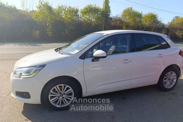 Citroen C4 Citroën II BlueHDi 100ch Millenium Business - <small></small> 7.800 € <small>TTC</small> - #13