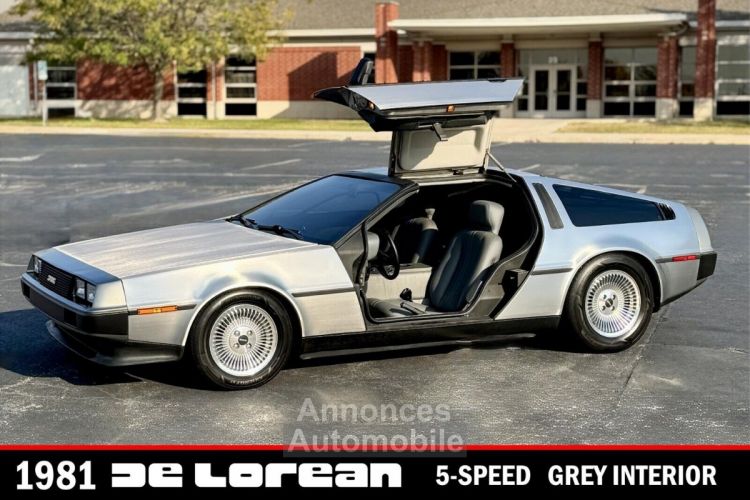 DeLorean DMC-12 - <small></small> 100.000 € <small>TTC</small> - #1