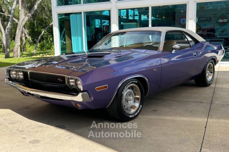 Dodge Challenger - <small></small> 77.000 € <small>TTC</small> - #12