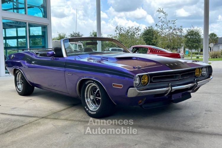 Dodge Challenger - <small></small> 103.000 € <small>TTC</small> - #3