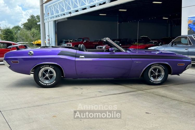 Dodge Challenger - <small></small> 103.000 € <small>TTC</small> - #4