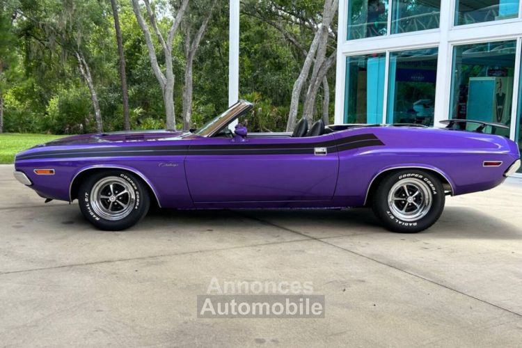 Dodge Challenger - <small></small> 103.000 € <small>TTC</small> - #11