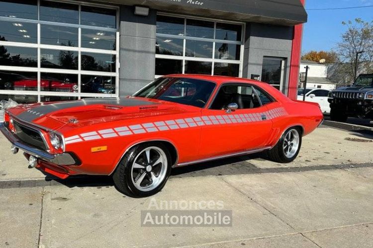 Dodge Challenger - <small></small> 48.000 € <small>TTC</small> - #14