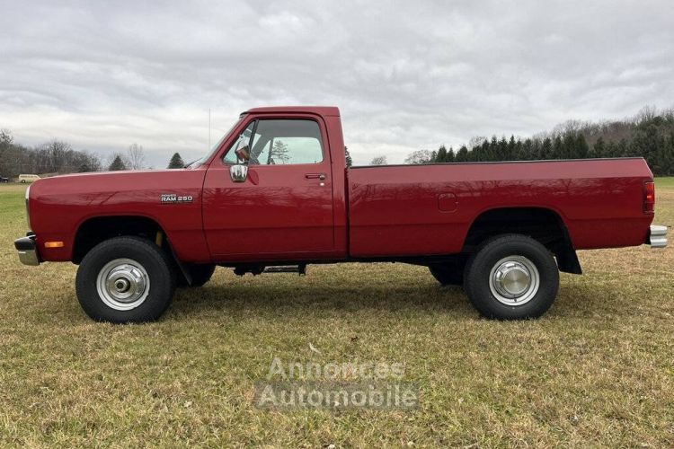 Dodge Pickup W250 diesel  - <small></small> 49.000 € <small>TTC</small> - #8