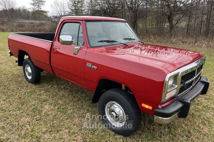 Dodge Pickup W250 diesel  - <small></small> 49.000 € <small>TTC</small> - #24