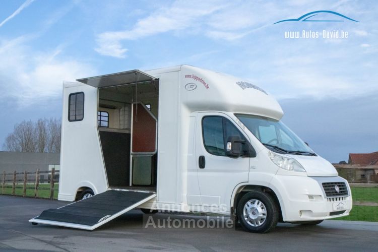 Fiat Ducato Horsetruck - 2 PAARDS - TREKHAAK - AIRCO - LICHTE VRACHT - <small></small> 29.999 € <small>TTC</small> - #1