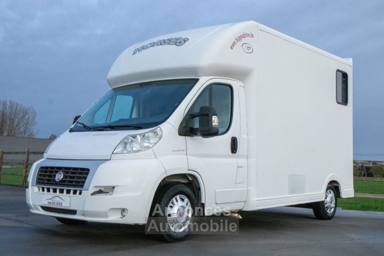 Fiat Ducato Horsetruck - 2 PAARDS - TREKHAAK - AIRCO - LICHTE VRACHT - <small></small> 29.999 € <small>TTC</small> - #3