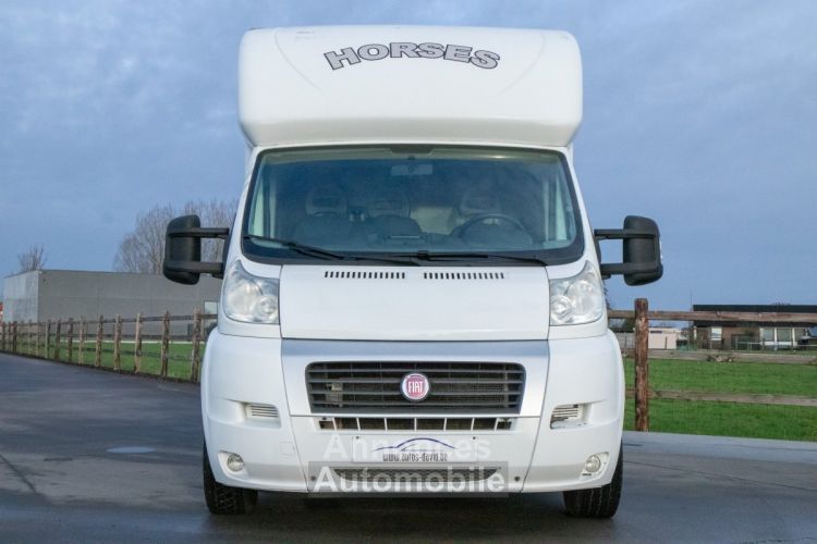 Fiat Ducato Horsetruck - 2 PAARDS - TREKHAAK - AIRCO - LICHTE VRACHT - <small></small> 29.999 € <small>TTC</small> - #4