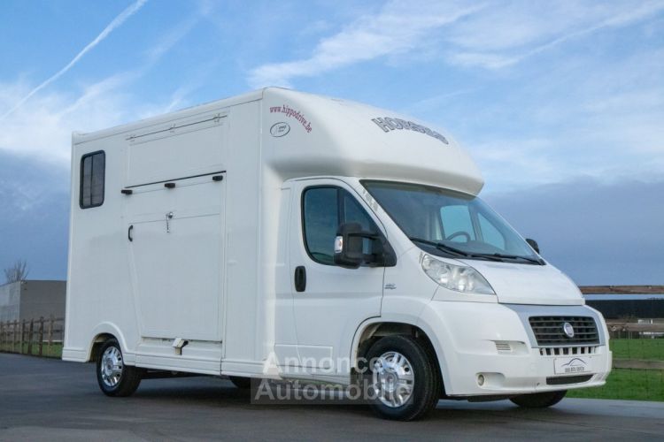 Fiat Ducato Horsetruck - 2 PAARDS - TREKHAAK - AIRCO - LICHTE VRACHT - <small></small> 29.999 € <small>TTC</small> - #5