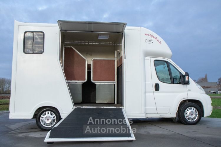 Fiat Ducato Horsetruck - 2 PAARDS - TREKHAAK - AIRCO - LICHTE VRACHT - <small></small> 29.999 € <small>TTC</small> - #6