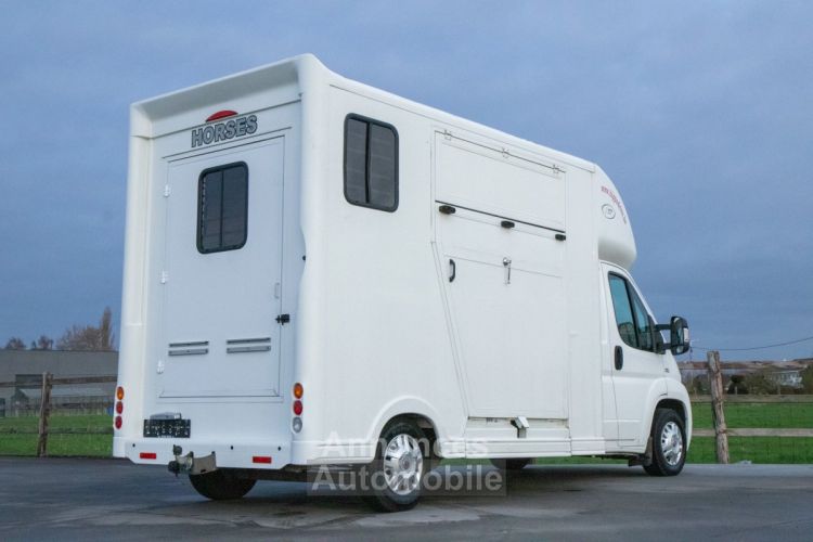 Fiat Ducato Horsetruck - 2 PAARDS - TREKHAAK - AIRCO - LICHTE VRACHT - <small></small> 29.999 € <small>TTC</small> - #7