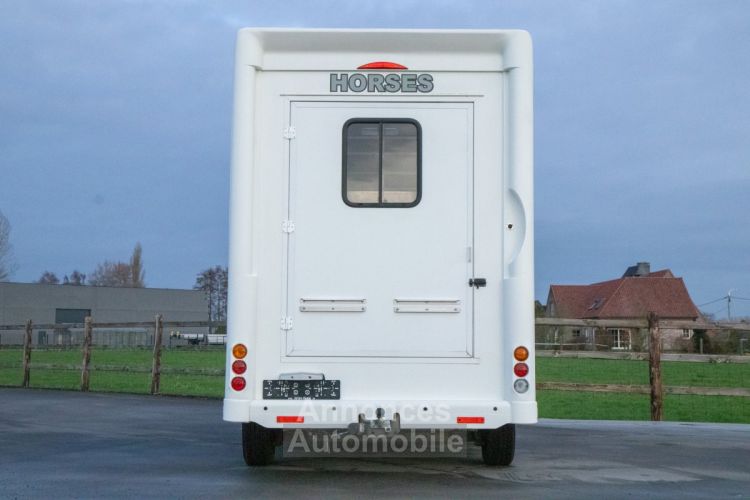 Fiat Ducato Horsetruck - 2 PAARDS - TREKHAAK - AIRCO - LICHTE VRACHT - <small></small> 29.999 € <small>TTC</small> - #8