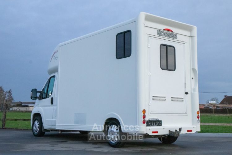 Fiat Ducato Horsetruck - 2 PAARDS - TREKHAAK - AIRCO - LICHTE VRACHT - <small></small> 29.999 € <small>TTC</small> - #9