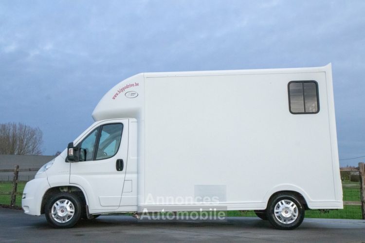 Fiat Ducato Horsetruck - 2 PAARDS - TREKHAAK - AIRCO - LICHTE VRACHT - <small></small> 29.999 € <small>TTC</small> - #10