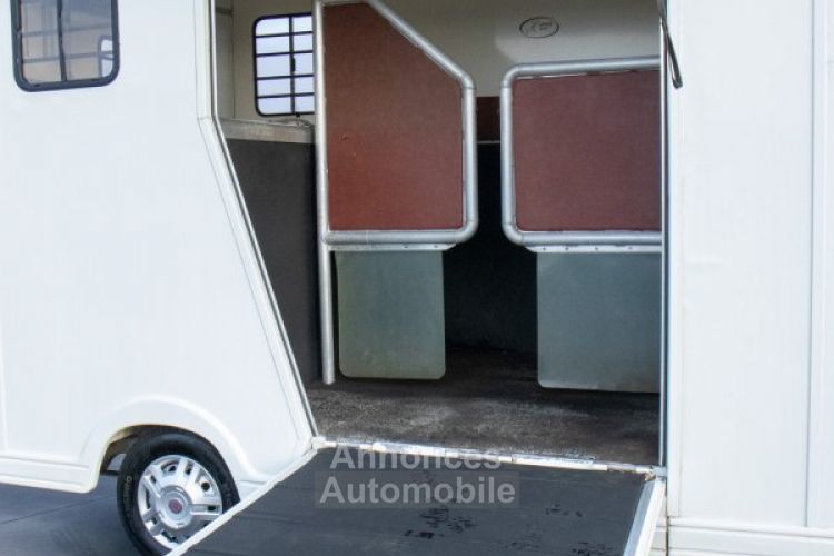 Fiat Ducato Horsetruck - 2 PAARDS - TREKHAAK - AIRCO - LICHTE VRACHT - <small></small> 29.999 € <small>TTC</small> - #11