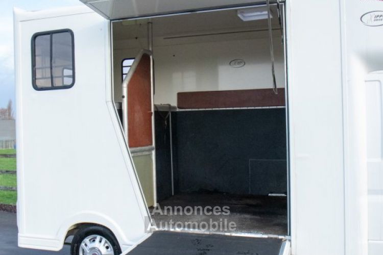Fiat Ducato Horsetruck - 2 PAARDS - TREKHAAK - AIRCO - LICHTE VRACHT - <small></small> 29.999 € <small>TTC</small> - #34
