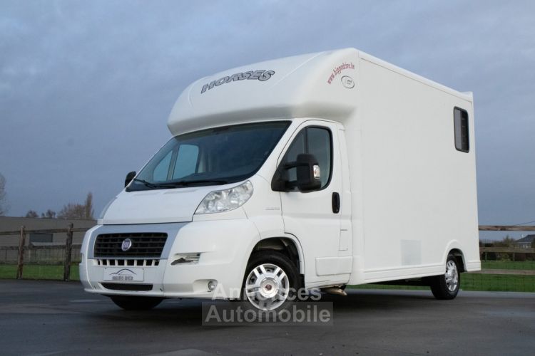 Fiat Ducato Horsetruck - 2 PAARDS - TREKHAAK - AIRCO - LICHTE VRACHT - <small></small> 29.999 € <small>TTC</small> - #39