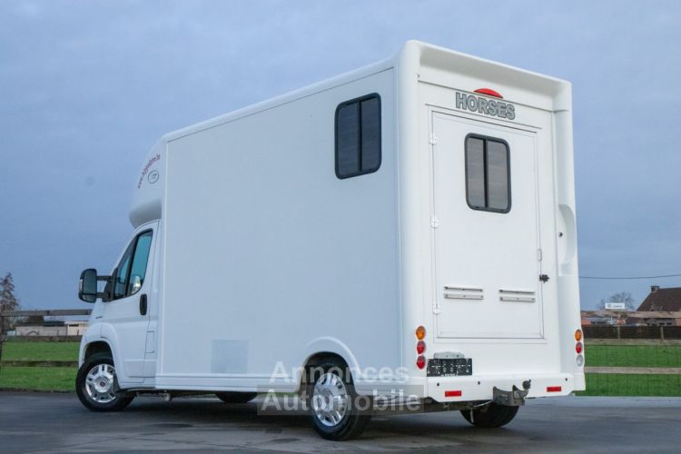 Fiat Ducato Horsetruck - 2 PAARDS - TREKHAAK - AIRCO - LICHTE VRACHT - <small></small> 29.999 € <small>TTC</small> - #40