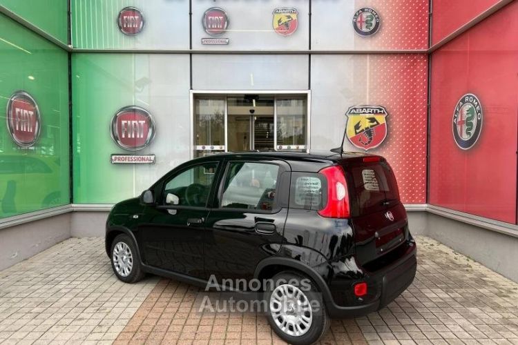 Fiat Panda Classic 1.0 70ch BSG S&S City - <small></small> 15.490 € <small>TTC</small> - #6