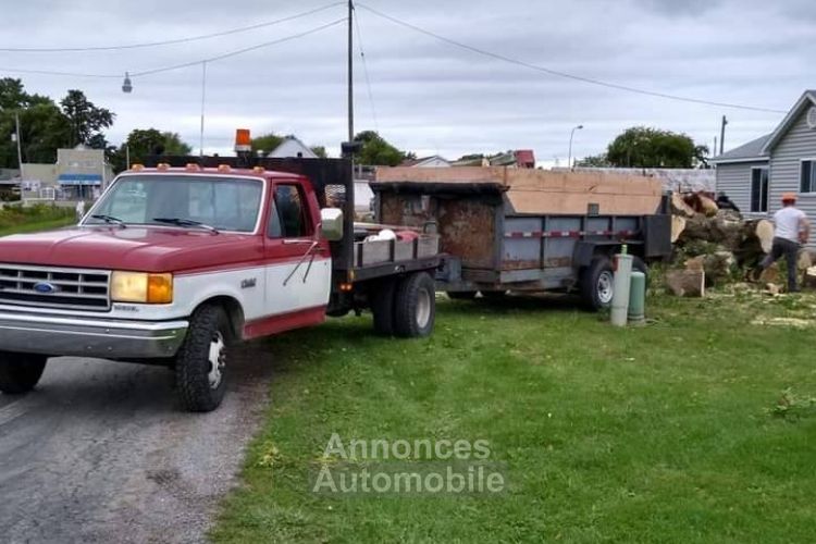 Ford F350 dually diesel  - <small></small> 15.600 € <small>TTC</small> - #6