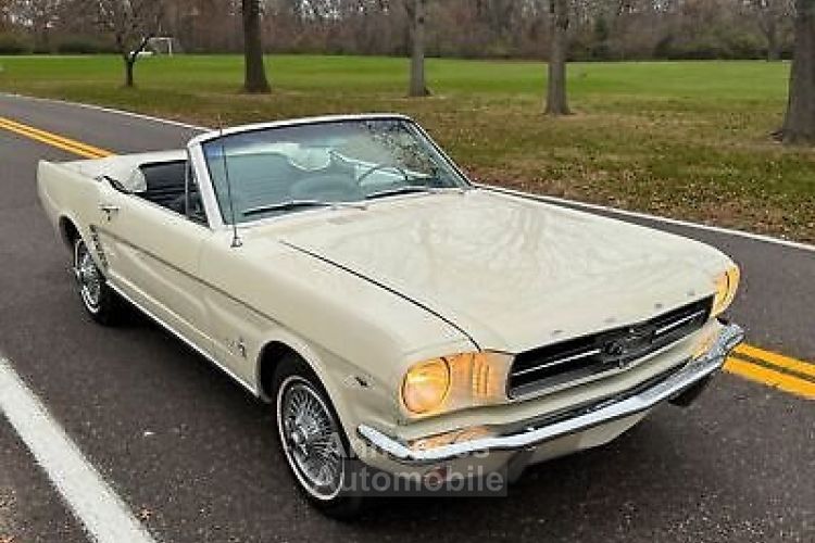 Ford Mustang - <small></small> 40.000 € <small>TTC</small> - #7