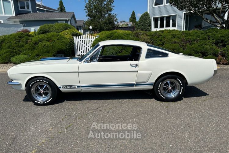 Ford Mustang - <small></small> 91.000 € <small>TTC</small> - #12