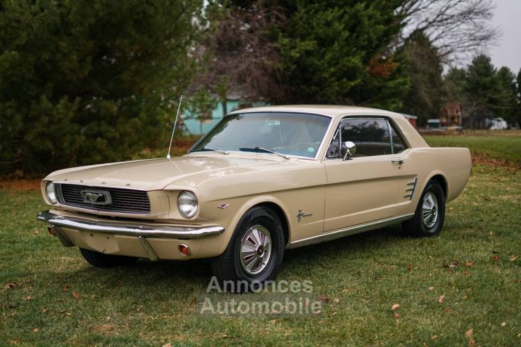 Ford Mustang - <small></small> 40.000 € <small>TTC</small> - #23